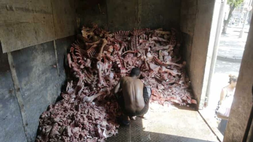 Brezilya’da üzücü tablo: Hayvan ölüleri arasında yemek aradılar!