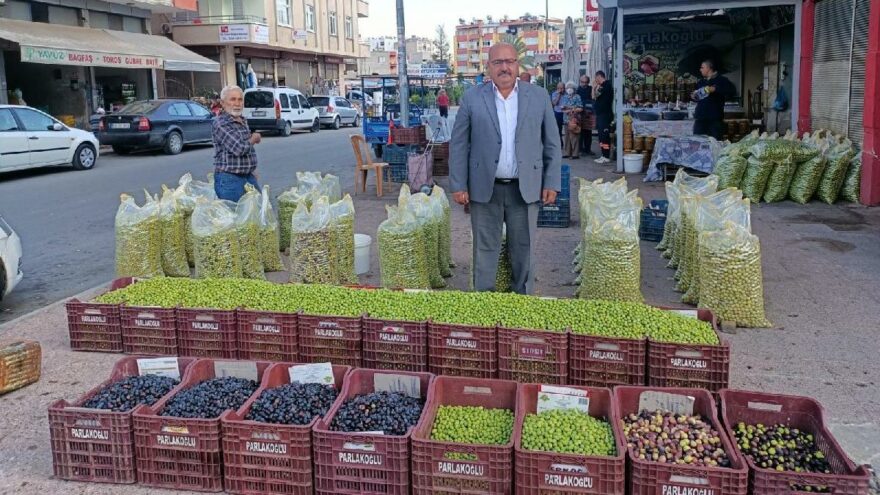 Zeytine rekolte zammı kapıda: Fiyatlar 10 günde 2 katına çıkabilir