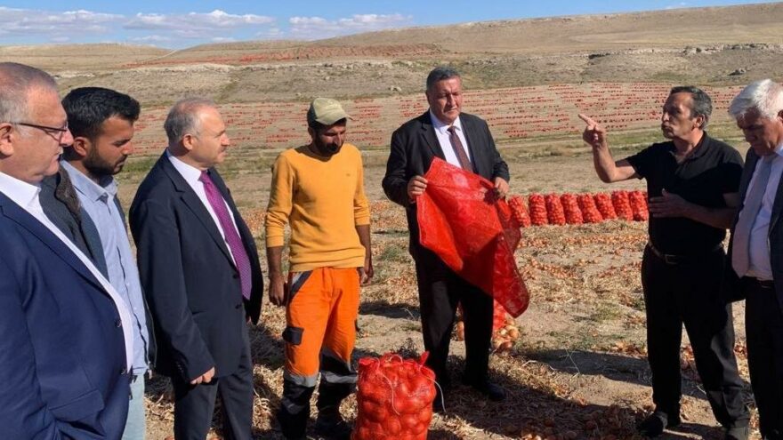 Tarım Kredi’ye soğan önerisi: TMO üreticiden alıp 2 liradan Tarım Kredi’de satsın