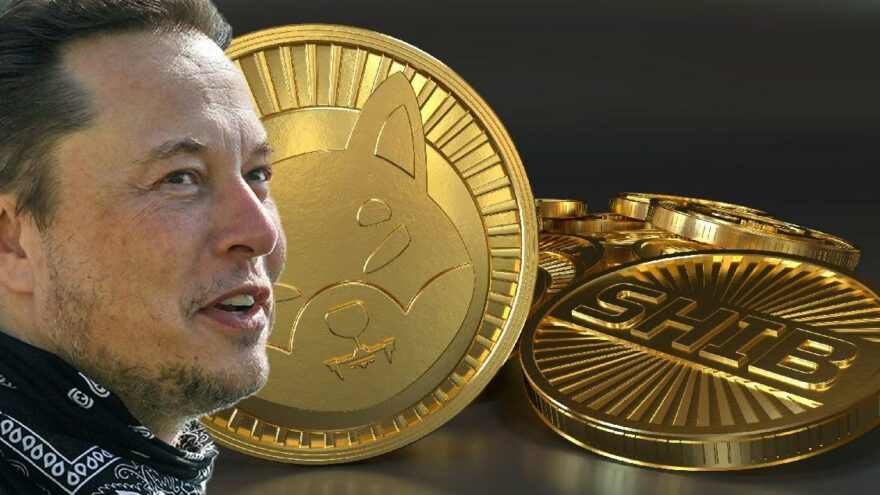 Elon Musk paylaşım yaptı, SHIB adlı kripto para rekor kırdı