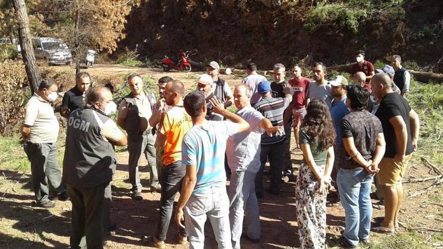 Yangın bölgesinde yanmamış ağaçların da kesilmesine isyan ettiler