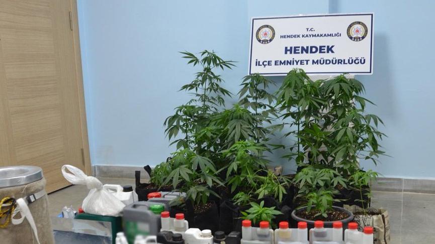 Evinde kurduğu serada GDO’lu kenevir yetiştiriyordu