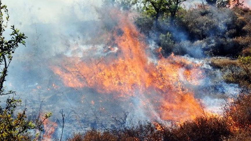 Yangın merayı kül etti, 5 koyun hayatını kaybetti