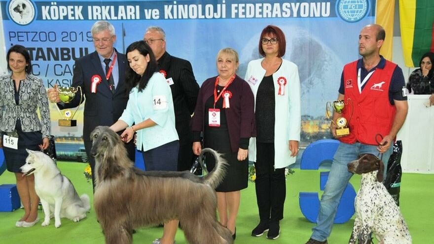 Evcil hayvan ürünleri milyar dolara koşuyor