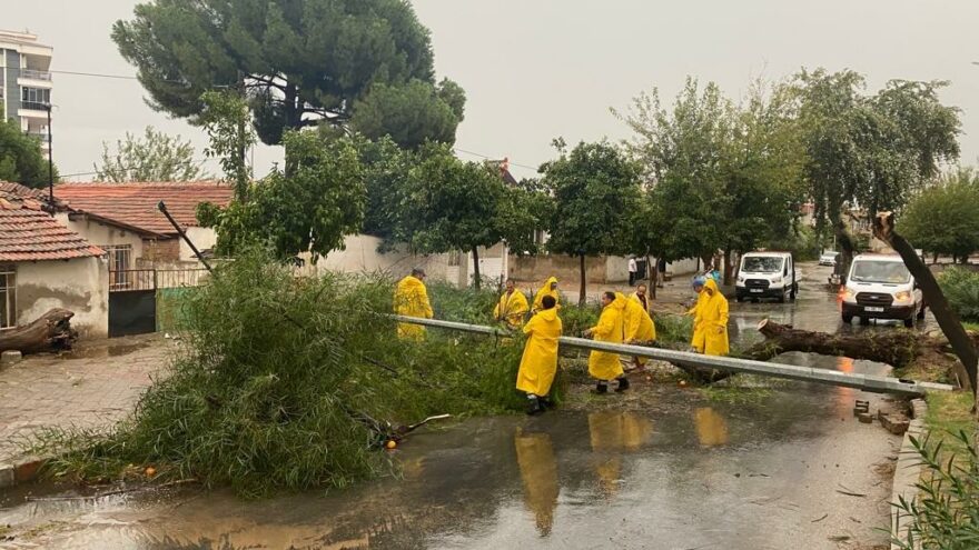 Aydın’da fırtına ağaçları devirdi