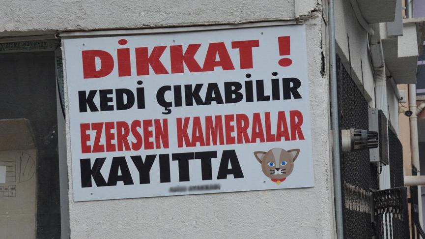 Beslediği 10 kedinin ezilmesi üzerine ‘ezersen kameralar kayıtta’ yazılı tabela astı