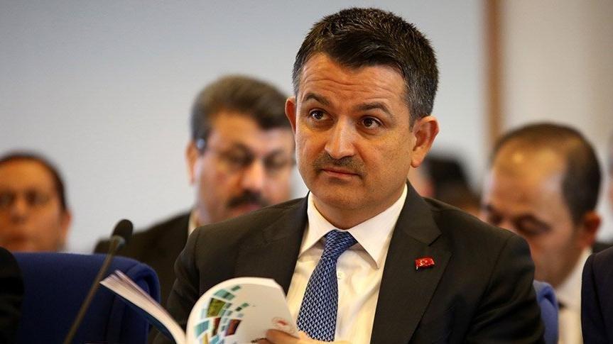 Pakdemirli: Yanan alanları üç şekilde yeşillendireceğiz