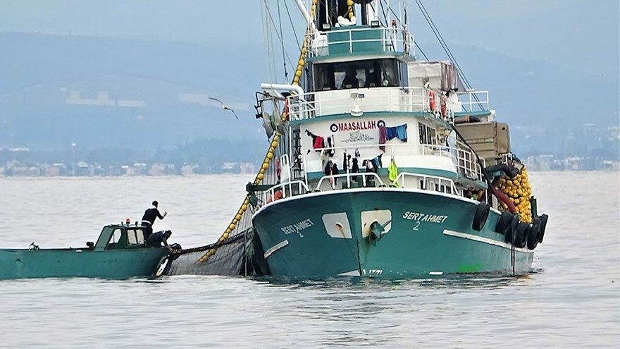 Saatler içinde 600 ton hamsi yakaladılar