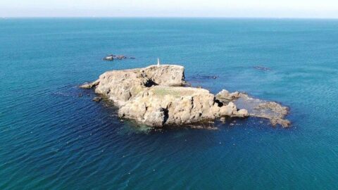 Beykoz’un gizemli adası… Varlığını çoğu İstanbullu bilmiyor