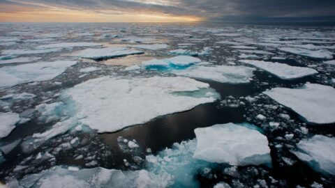 WMO'nun raporu okyanusların giderek ısındığını ortaya koydu