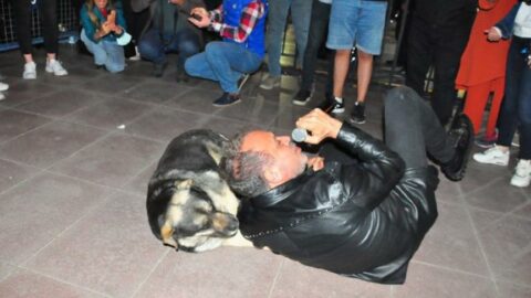 Haluk Levent, şarkılarını sokak köpeğinin yanına uzanarak seslendirdi
