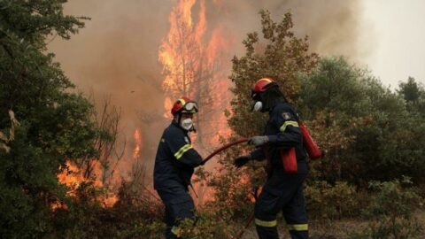 Yunanistan’da 4 noktada orman yangını