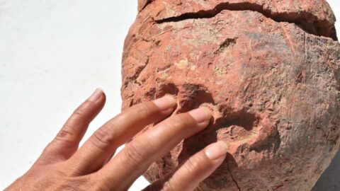 8 bin yıllık parmak izi